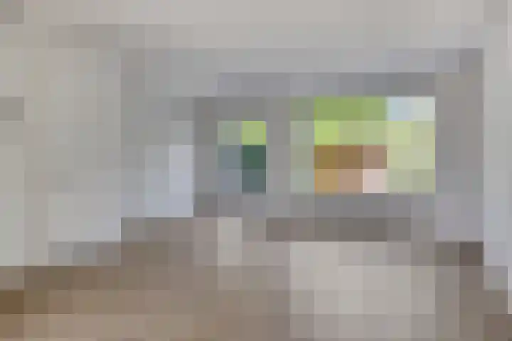 Clompen Camp 3 Sambeek foto 2