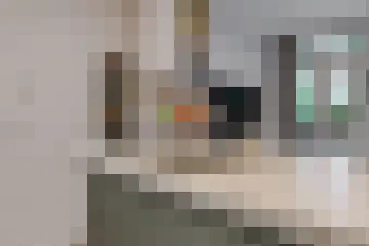 Clompen Camp 3 Sambeek thumbnail 21