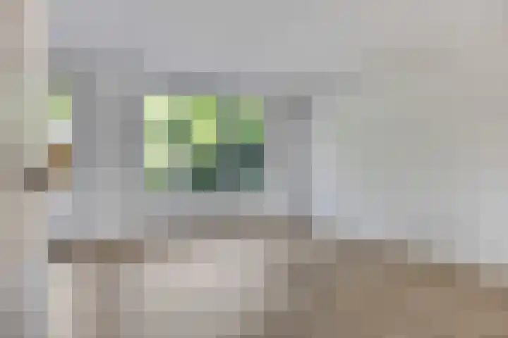 Clompen Camp 3 Sambeek thumbnail 9