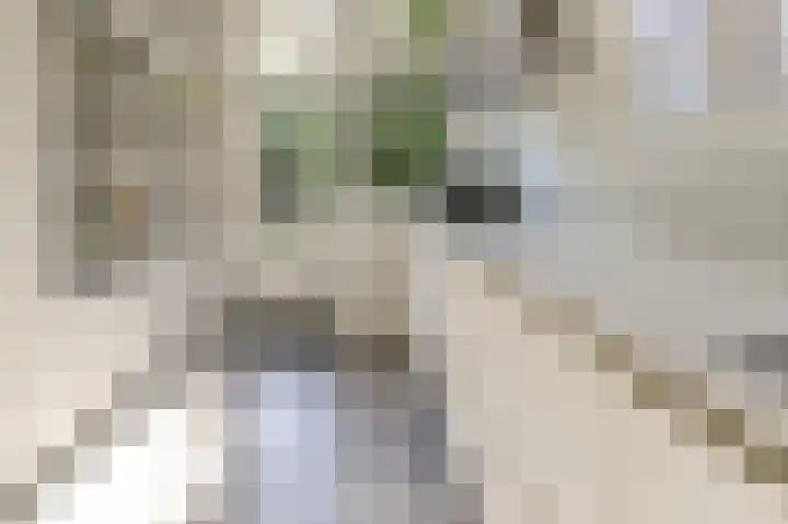 Cloosterlaan 4 Heemstede thumbnail 13