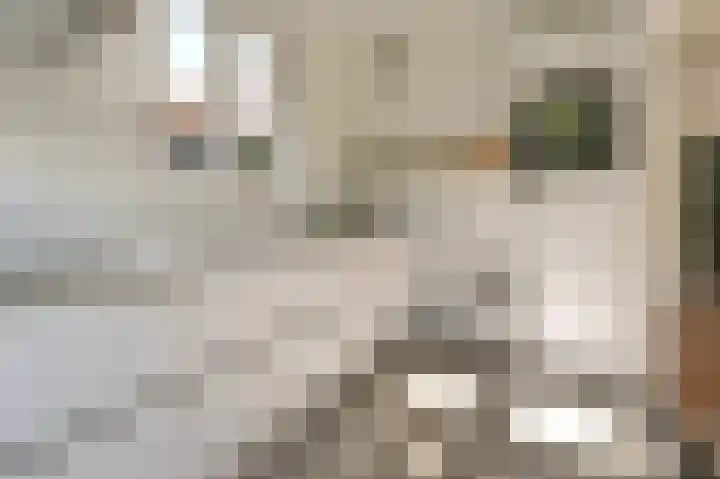 Cloosterlaan 4 Heemstede thumbnail 14