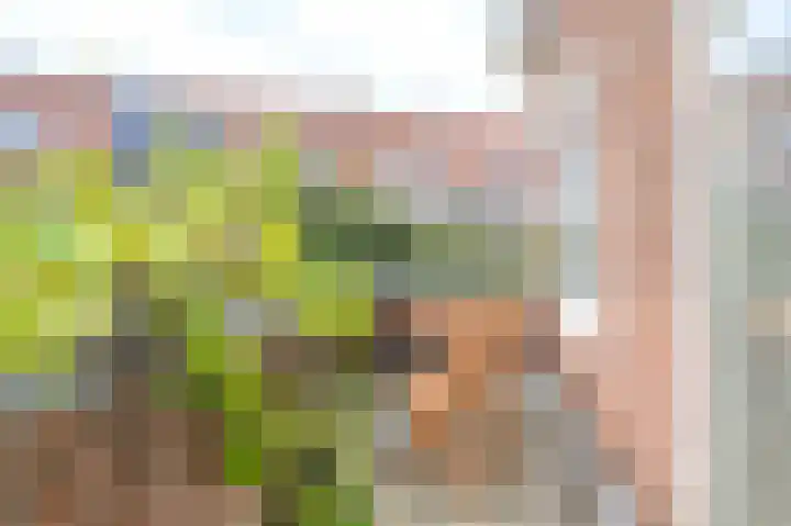 Cloosterlaan 4 Heemstede thumbnail 22