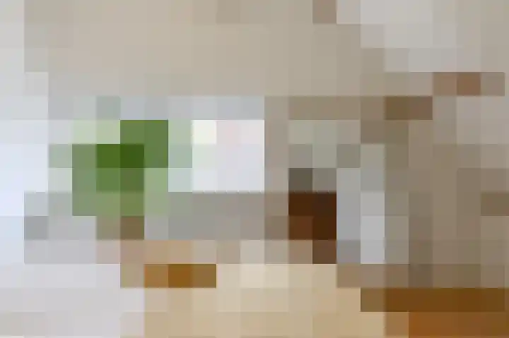 Cloosterlaan 4 Heemstede thumbnail 37
