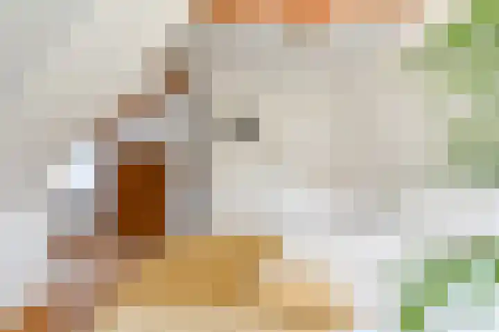 Cloosterlaan 4 Heemstede thumbnail 38