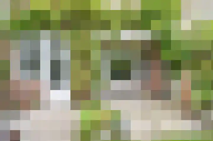 Cloosterlaan 4 Heemstede thumbnail 43