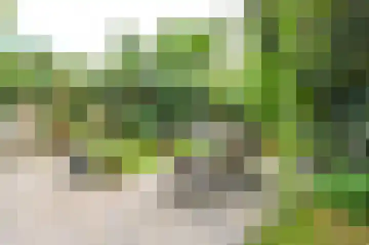 Cloosterlaan 4 Heemstede thumbnail 44