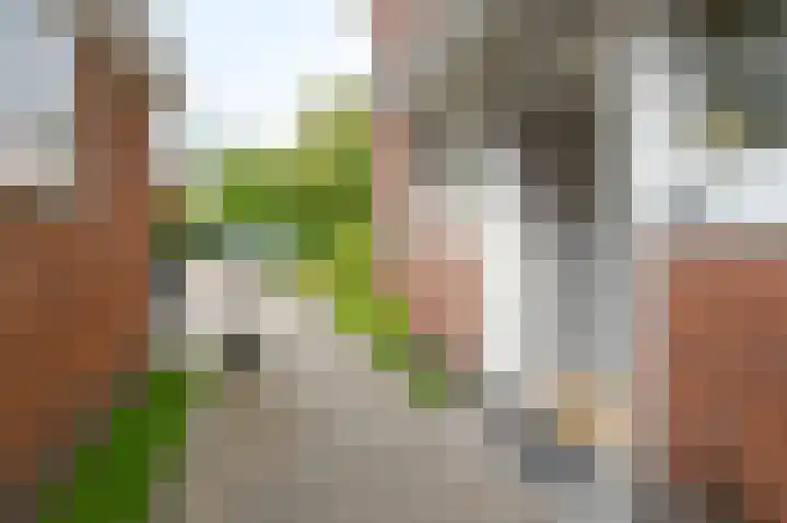 Cloosterlaan 4 Heemstede thumbnail 48