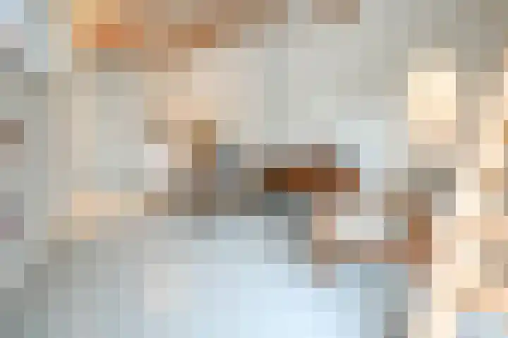 Cloosterlaan 4 Heemstede thumbnail 51