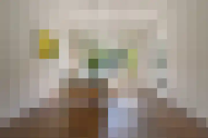 Cloosterlaan 4 Heemstede thumbnail 8