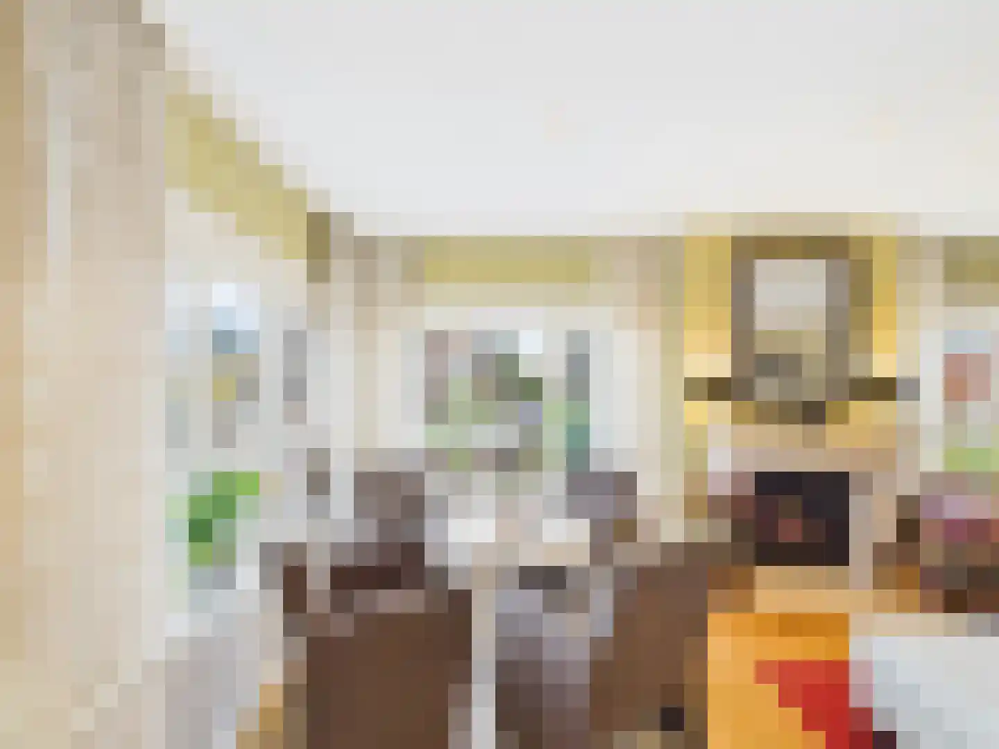 Cloosterstraat 1 Kloosterzande thumbnail 13