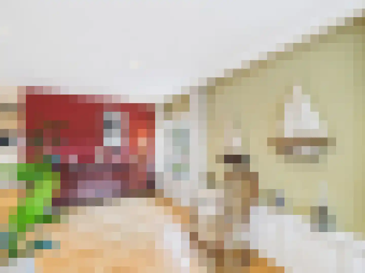 Cloosterstraat 1 Kloosterzande thumbnail 15