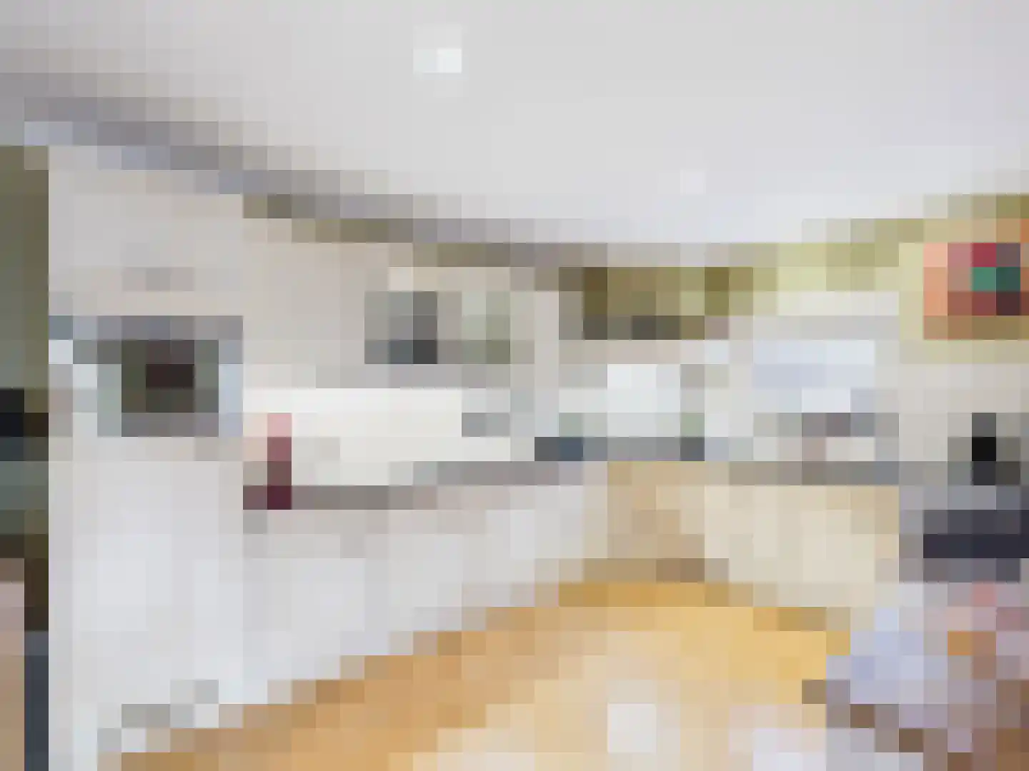 Cloosterstraat 1 Kloosterzande thumbnail 18