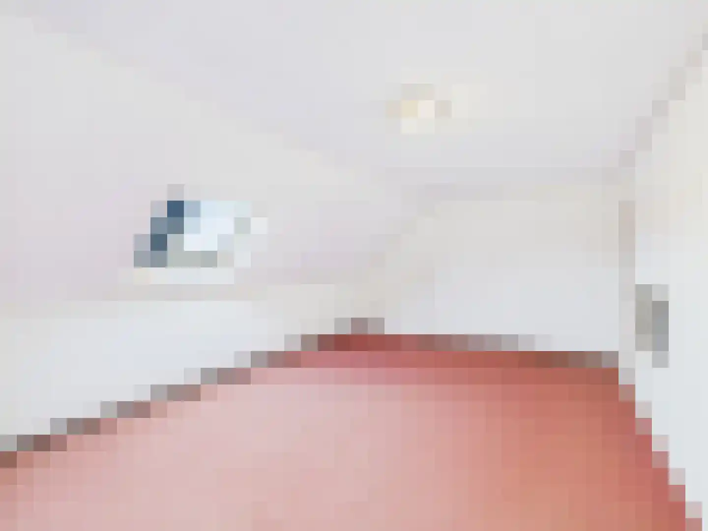 Cloosterstraat 1 Kloosterzande thumbnail 34