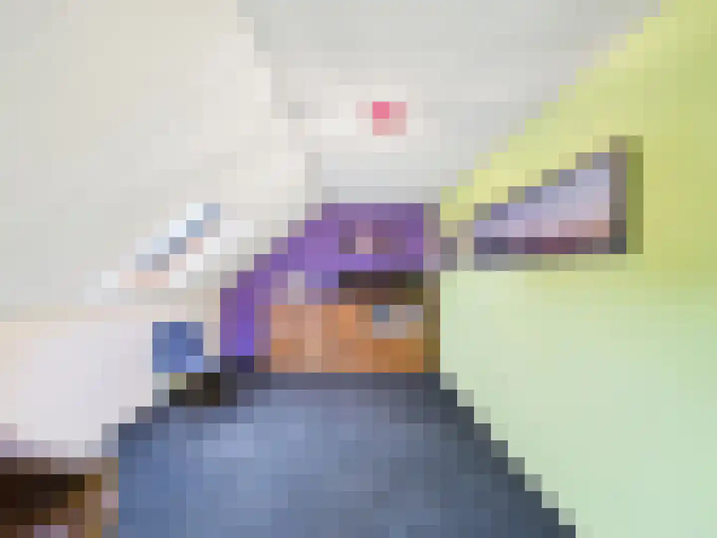 Cloosterstraat 1 Kloosterzande thumbnail 35