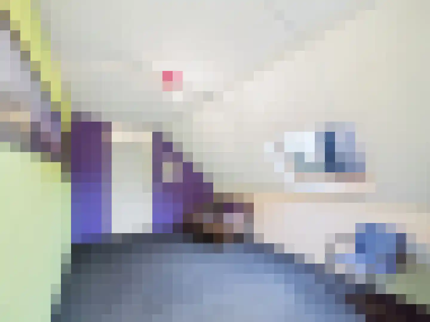 Cloosterstraat 1 Kloosterzande thumbnail 36
