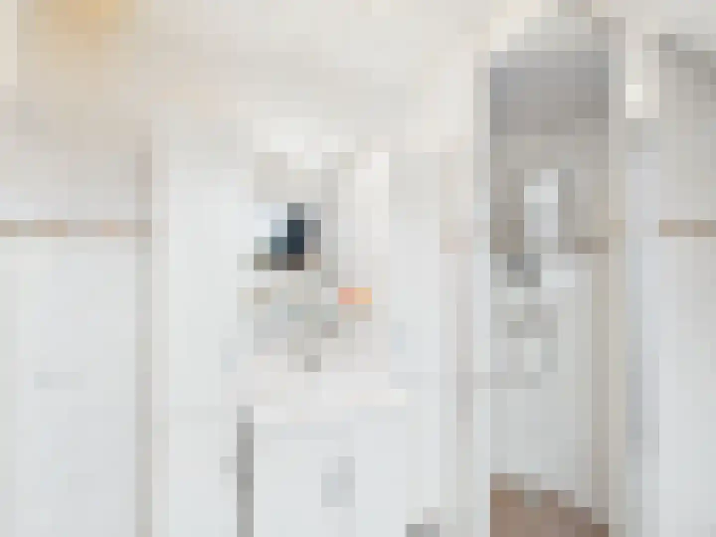 Cloosterstraat 1 Kloosterzande thumbnail 38
