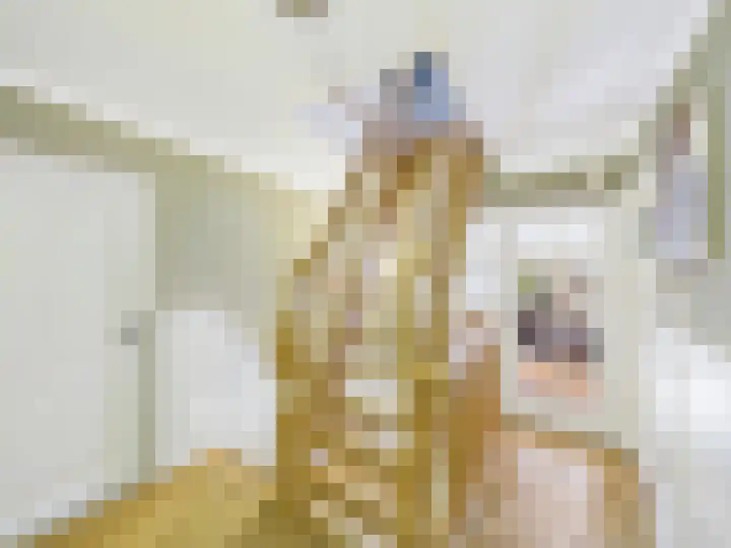 Cloosterstraat 1 Kloosterzande thumbnail 40