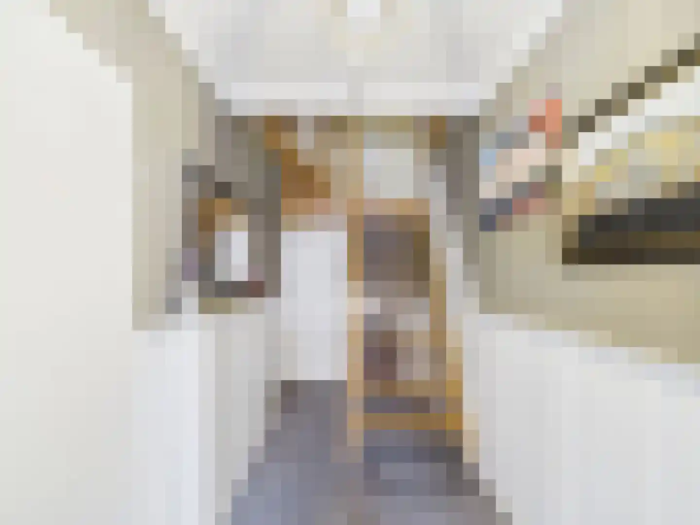 Cloosterstraat 1 Kloosterzande thumbnail 41