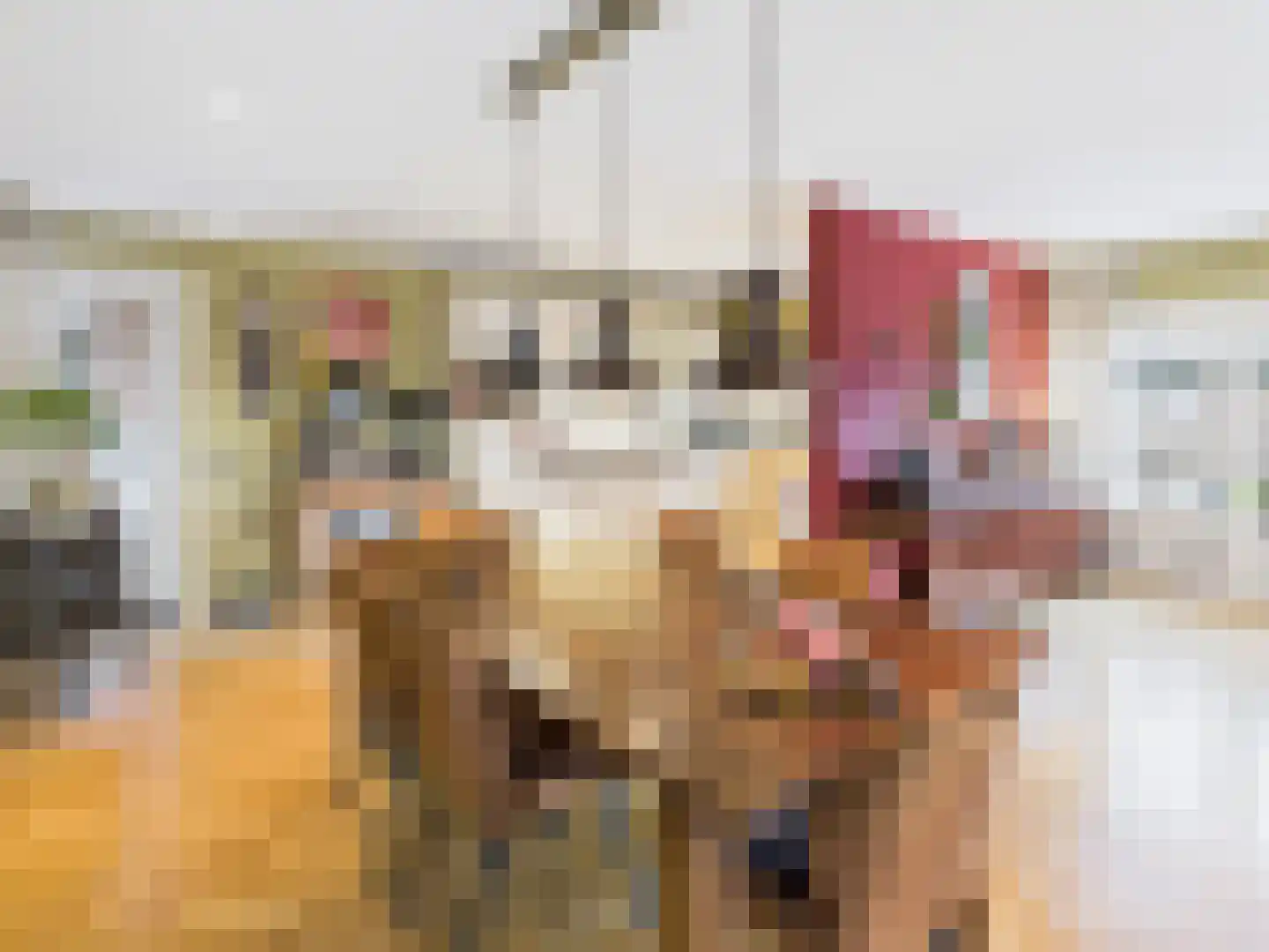 Cloosterstraat 1 Kloosterzande thumbnail 7