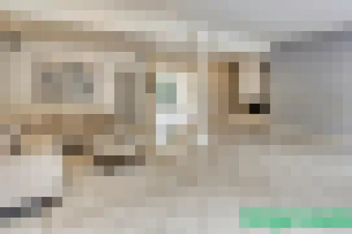 Cloosterstraat 15 Kloosterzande thumbnail 11