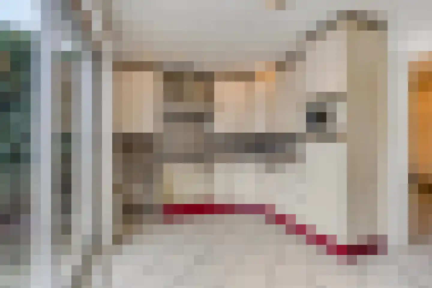 Cloosterstraat 15 Kloosterzande thumbnail 15