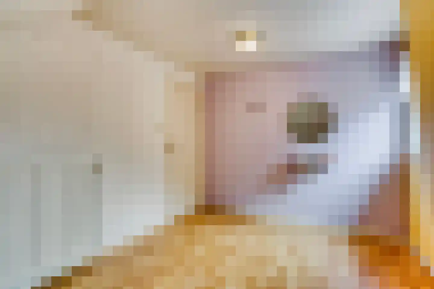 Cloosterstraat 15 Kloosterzande thumbnail 24