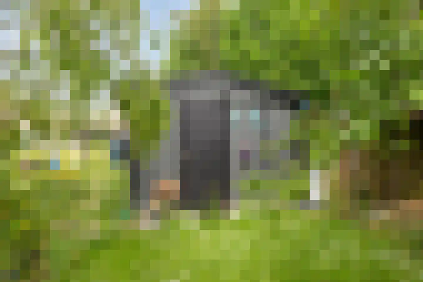 Cloosterstraat 15 Kloosterzande thumbnail 36