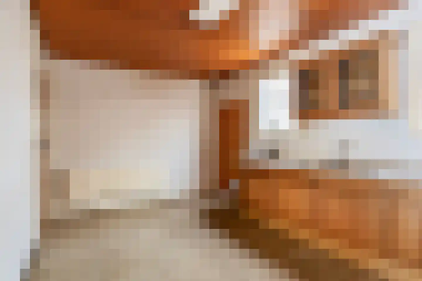 Cloosterstraat 35 Kloosterzande thumbnail 14