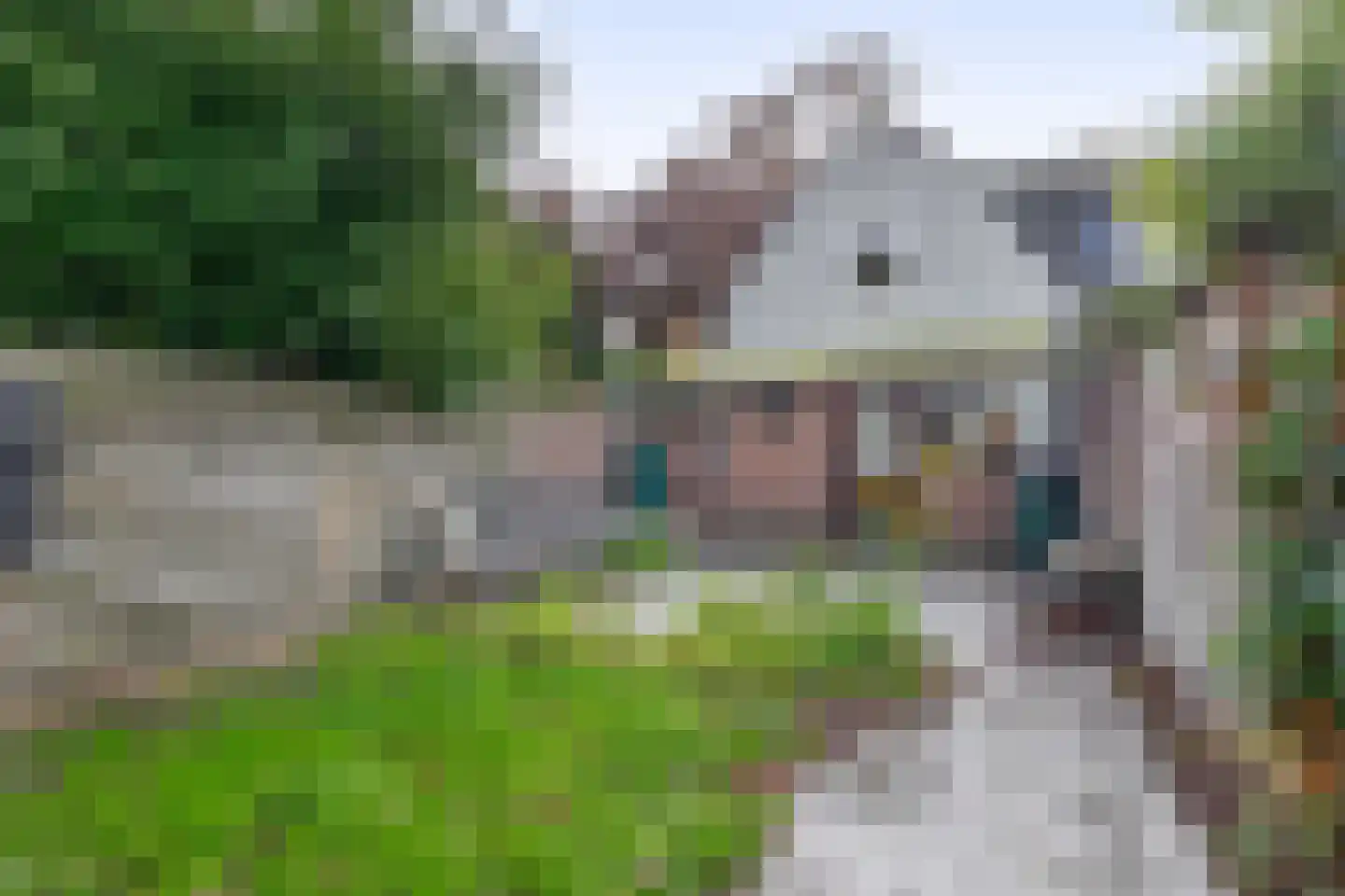 Cloosterstraat 35 Kloosterzande thumbnail 33