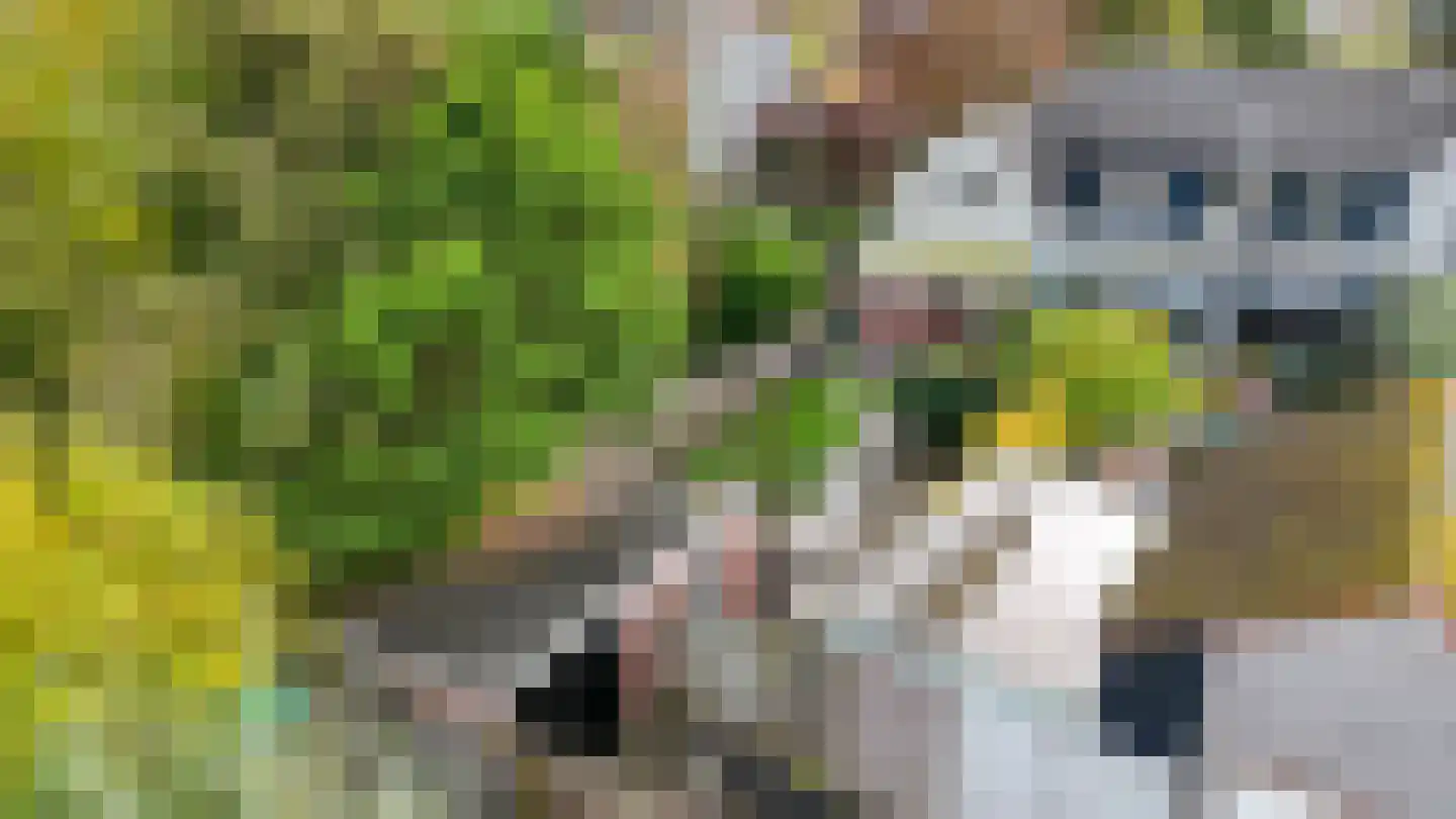 Cloosterstraat 35 Kloosterzande thumbnail 39