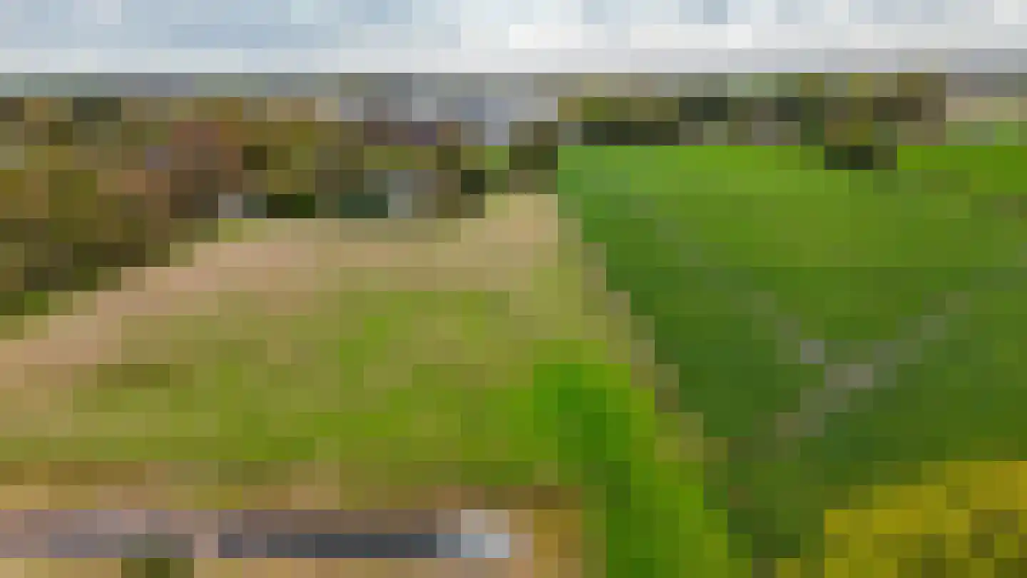 Cloosterstraat 35 Kloosterzande thumbnail 45