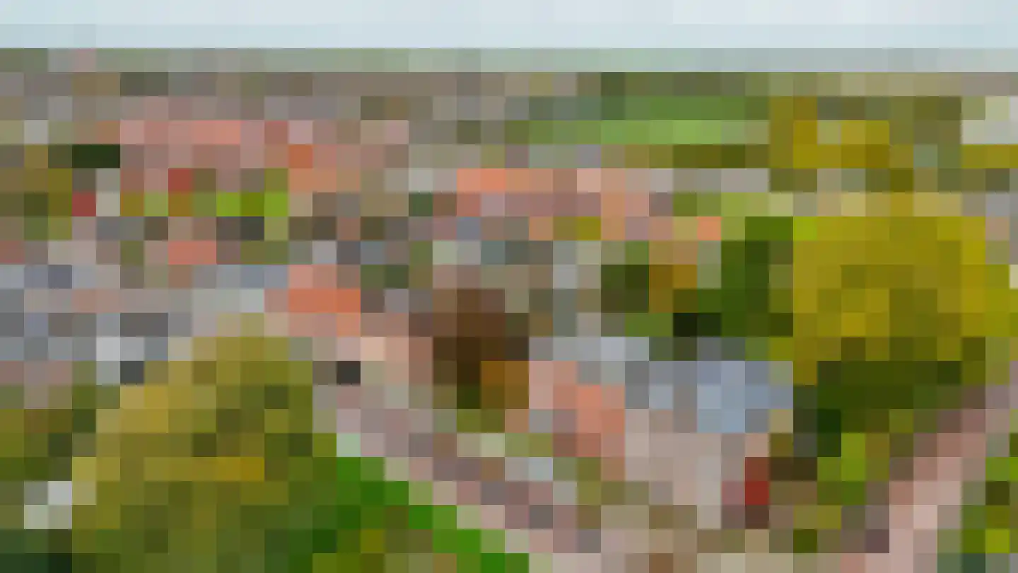 Cloosterstraat 35 Kloosterzande thumbnail 46