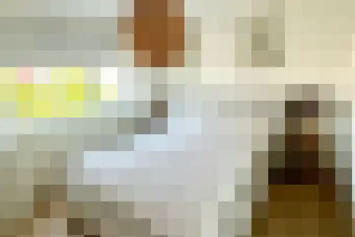 Cloosterstraat 45 Kloosterzande thumbnail 21