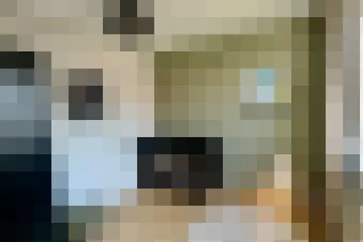 Cloosterstraat 45 Kloosterzande thumbnail 23