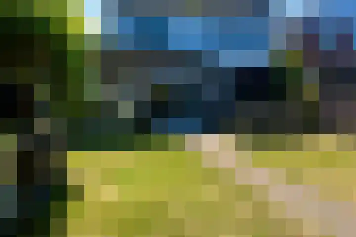 Cloosterstraat 45 Kloosterzande thumbnail 4