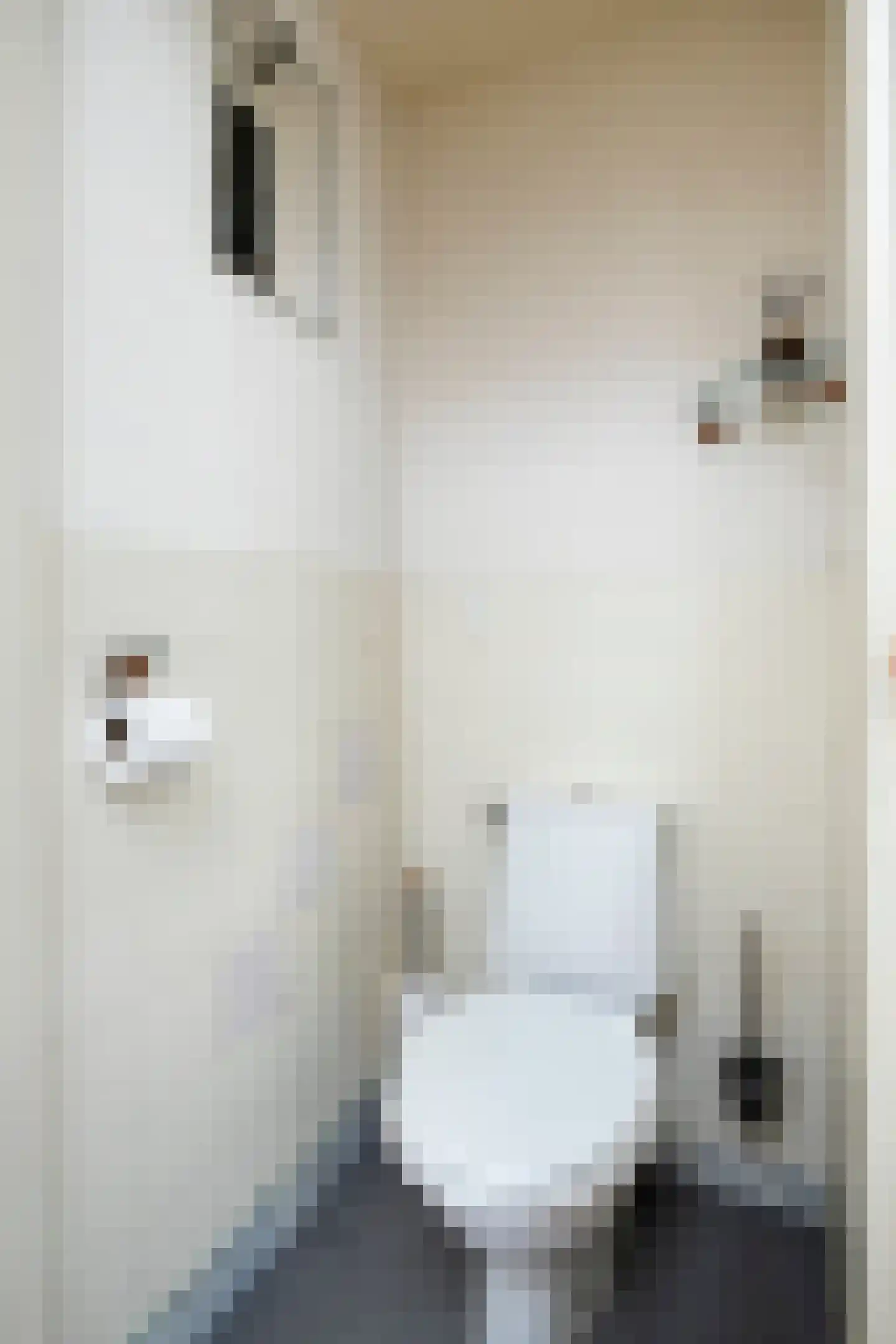 Cloosterstraat 46 Kloosterzande thumbnail 12