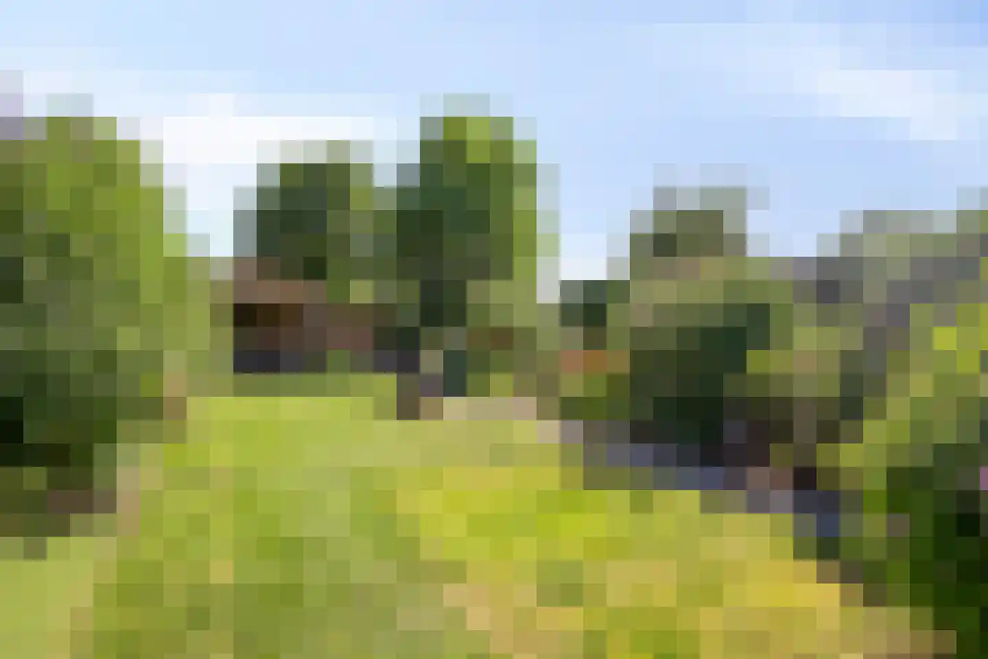 Cloosterstraat 46 Kloosterzande thumbnail 23