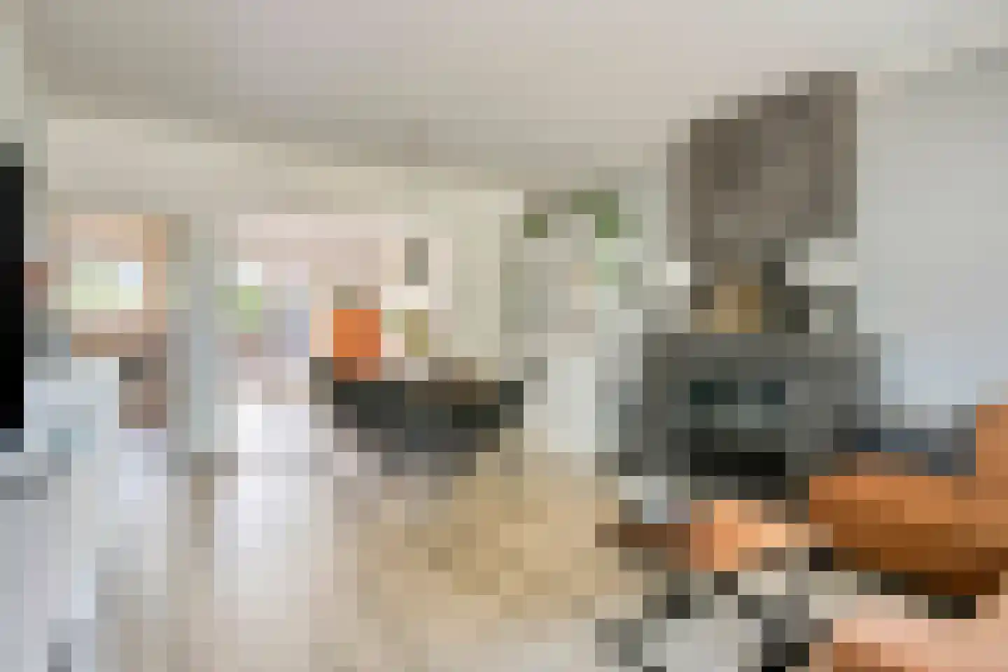 Cloosterstraat 46 Kloosterzande thumbnail 6