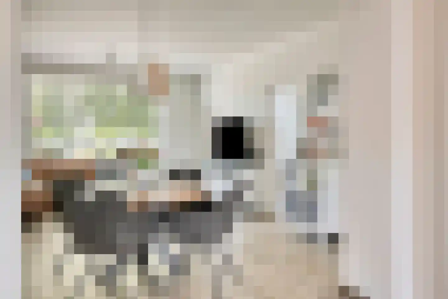 Cloosterstraat 46 Kloosterzande thumbnail 7