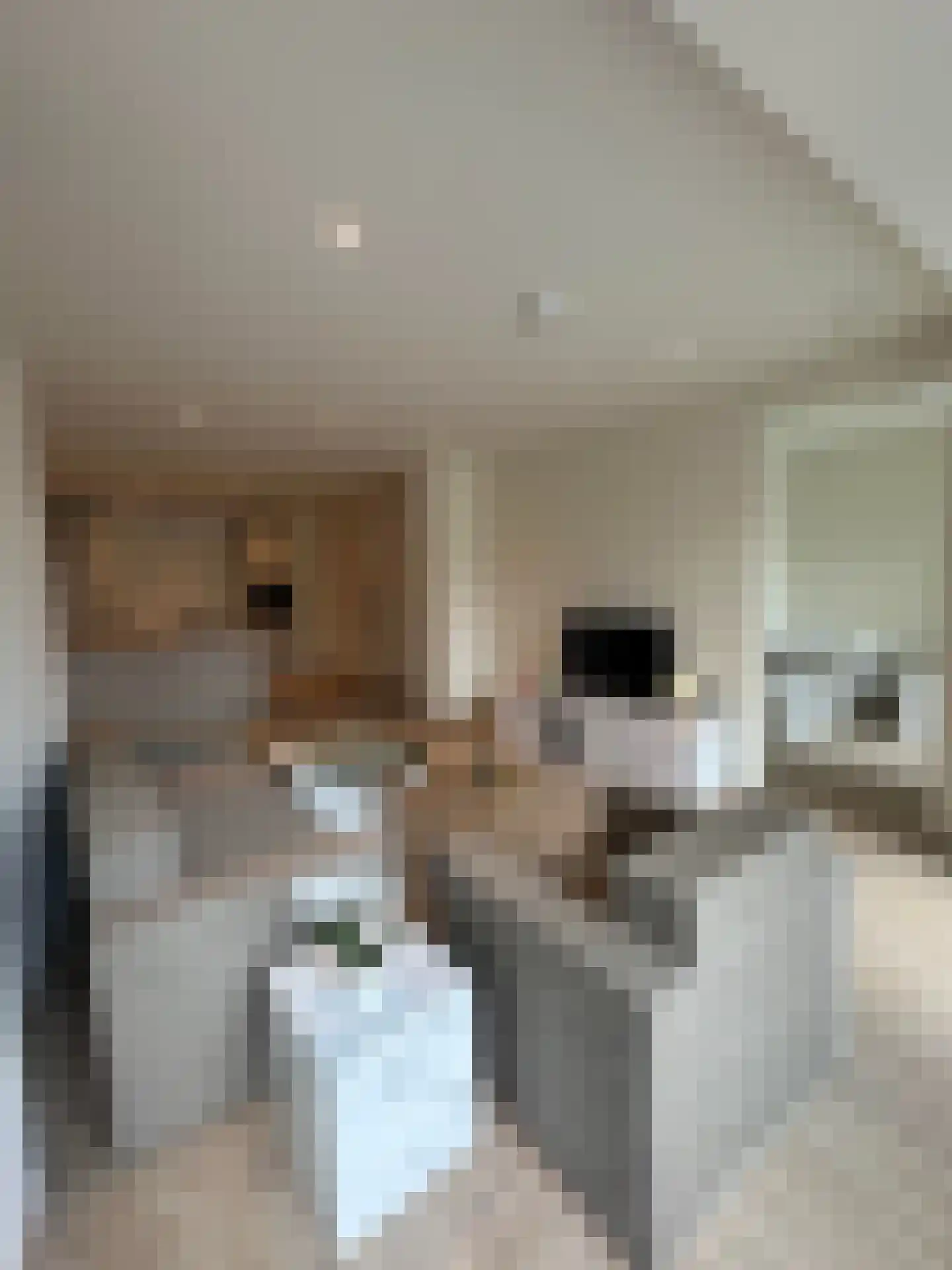Cloosterstraat 97 d Kloosterzande thumbnail 7