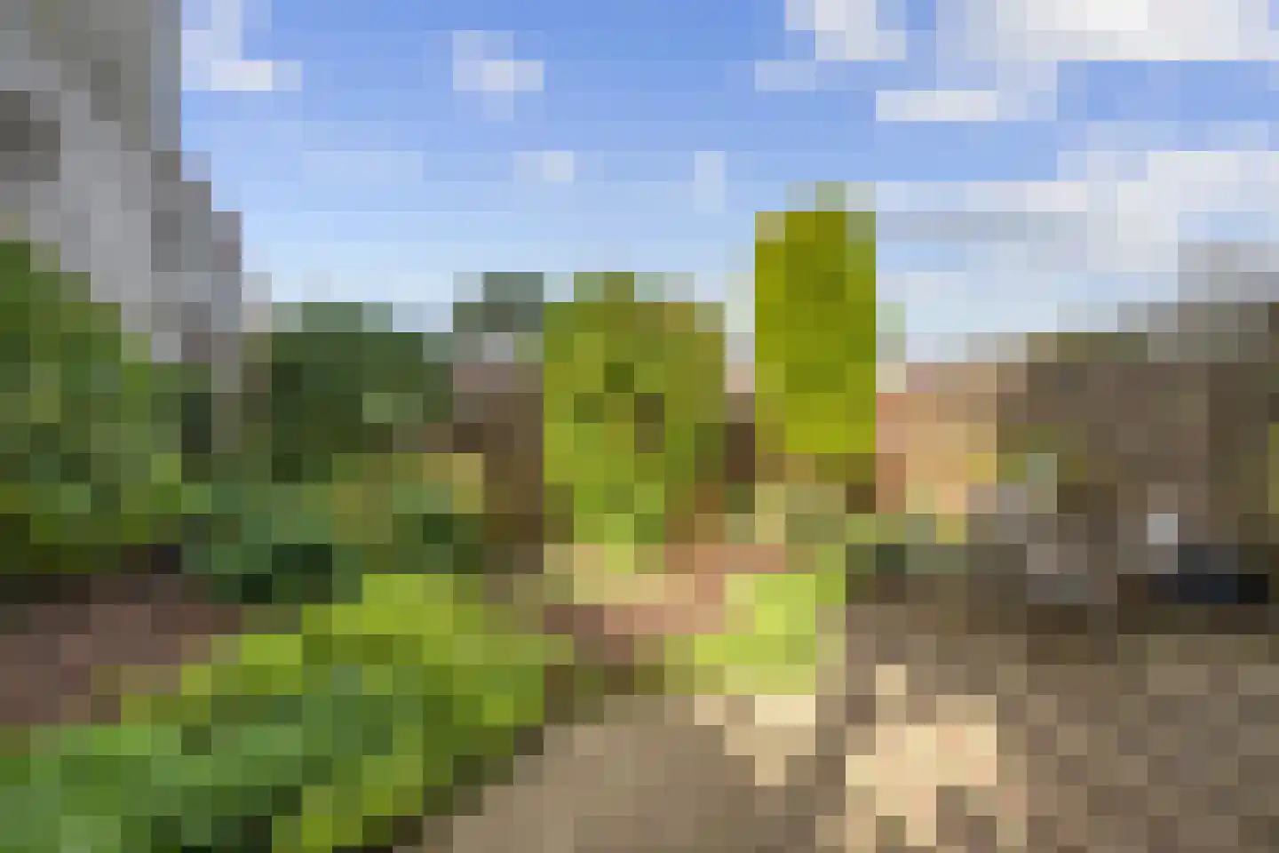 Cloosterweg 11 Heemstede thumbnail 30