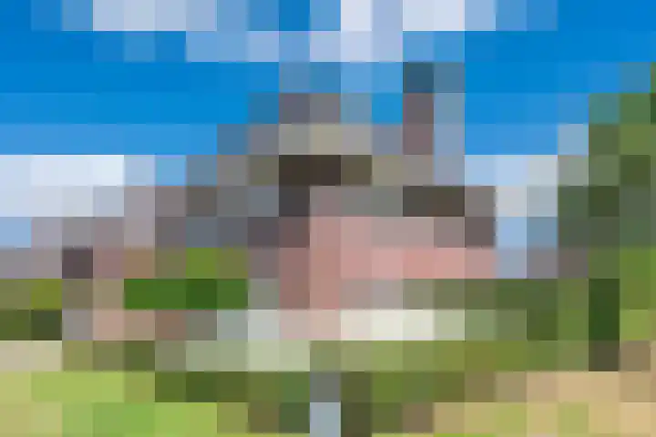 Clovishof 18 Aarle-Rixtel thumbnail 10