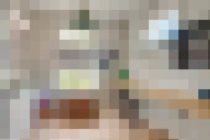 Clovishof 18 Aarle-Rixtel thumbnail 14