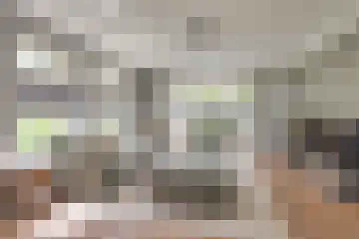 Clovishof 18 Aarle-Rixtel thumbnail 18