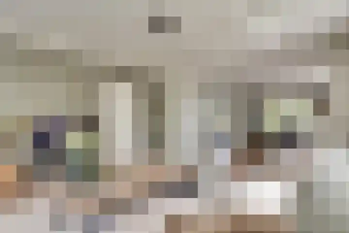 Clovishof 18 Aarle-Rixtel thumbnail 19