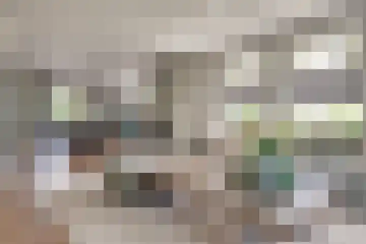 Clovishof 18 Aarle-Rixtel thumbnail 20