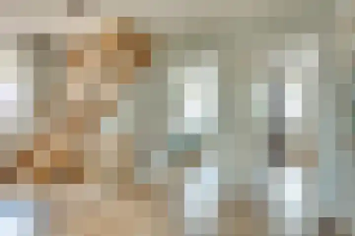 Clovishof 18 Aarle-Rixtel thumbnail 29