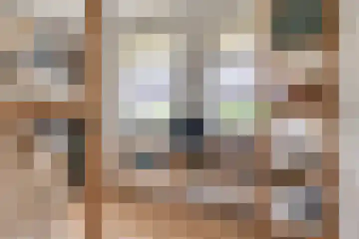 Clovishof 18 Aarle-Rixtel thumbnail 35