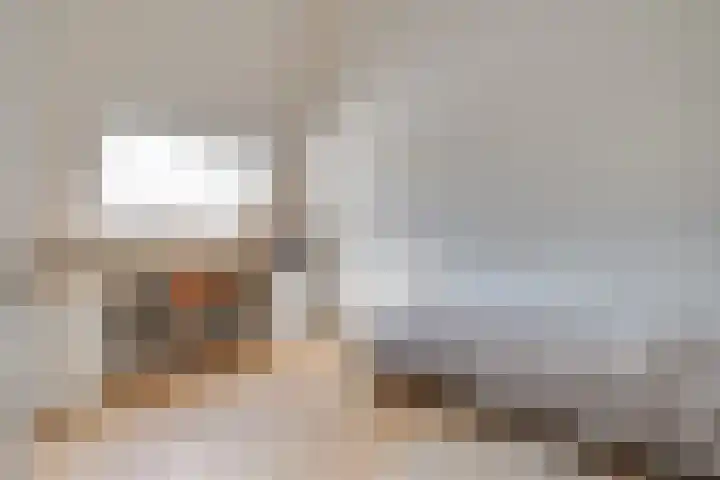 Clovishof 18 Aarle-Rixtel thumbnail 42