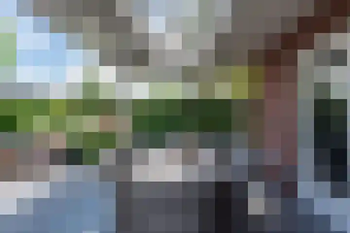 Clovishof 18 Aarle-Rixtel thumbnail 43